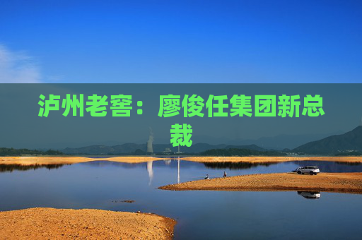 泸州老窖：廖俊任集团新总裁