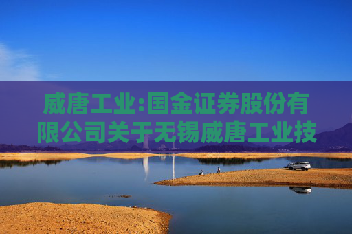 威唐工业:国金证券股份有限公司关于无锡威唐工业技术股份有限公司新增关联交易的专项核查意见