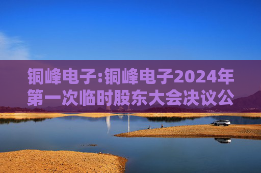 铜峰电子:铜峰电子2024年第一次临时股东大会决议公告