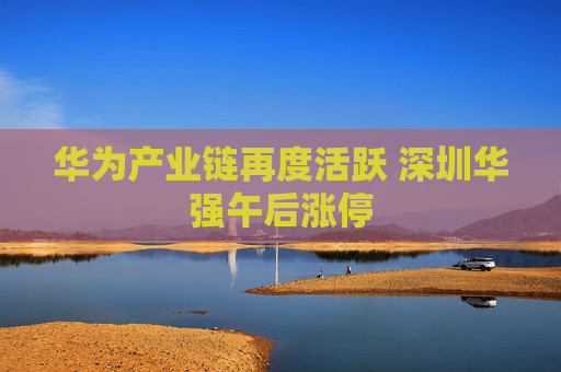 华为产业链再度活跃 深圳华强午后涨停