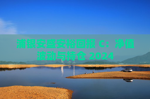 浦银安盛安裕回报 C：净值波动与持仓 2024