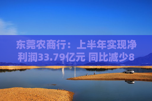 东莞农商行：上半年实现净利润33.79亿元 同比减少8.07%