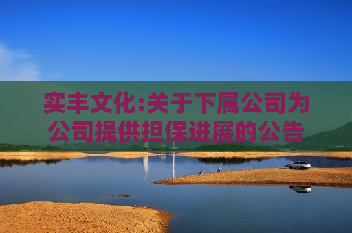 实丰文化:关于下属公司为公司提供担保进展的公告