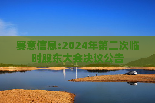 赛意信息:2024年第二次临时股东大会决议公告