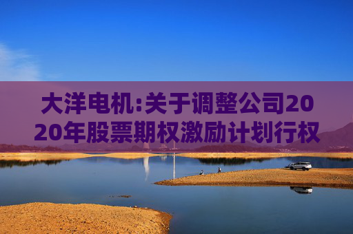 大洋电机:关于调整公司2020年股票期权激励计划行权价格的公告