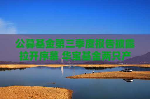 公募基金第三季度报告披露拉开序幕 华宝基金两只产品净值增长率均超16%