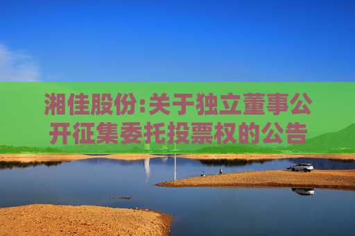 湘佳股份:关于独立董事公开征集委托投票权的公告