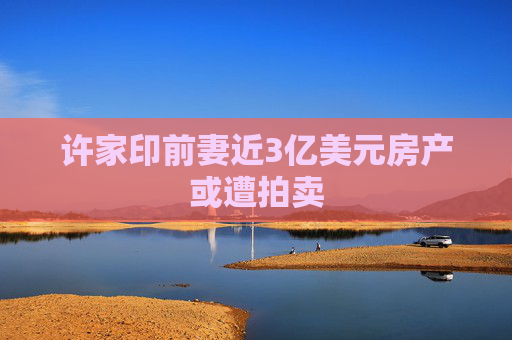 许家印前妻近3亿美元房产或遭拍卖