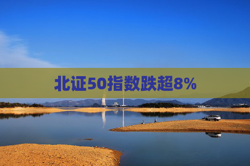 北证50指数跌超8%