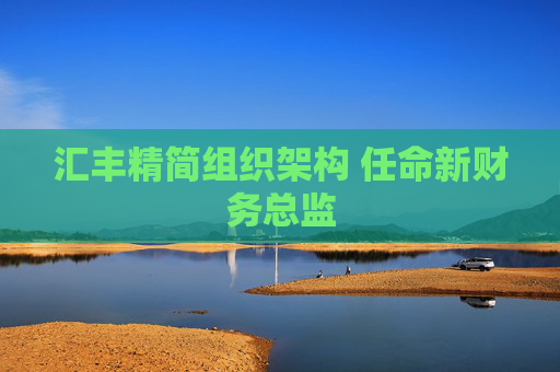 汇丰精简组织架构 任命新财务总监