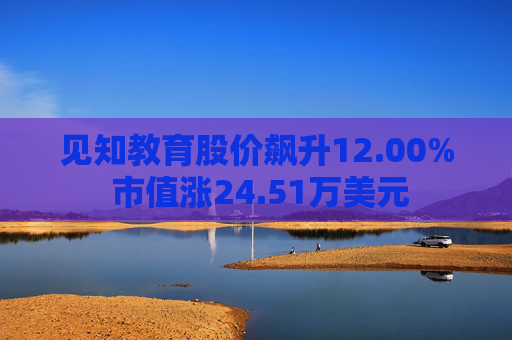 见知教育股价飙升12.00% 市值涨24.51万美元