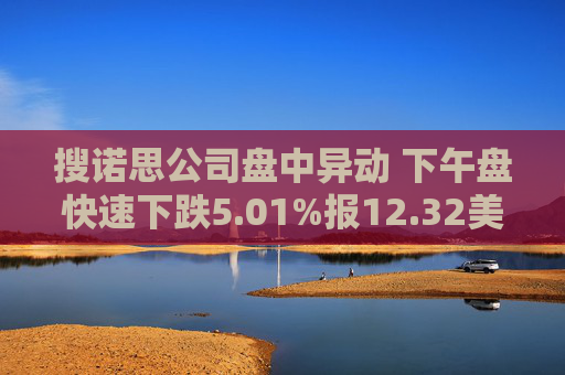 搜诺思公司盘中异动 下午盘快速下跌5.01%报12.32美元