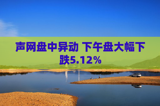 声网盘中异动 下午盘大幅下跌5.12%