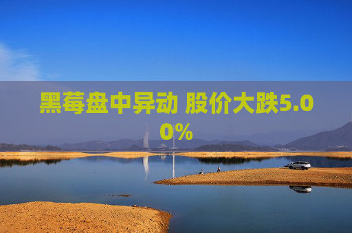 黑莓盘中异动 股价大跌5.00%