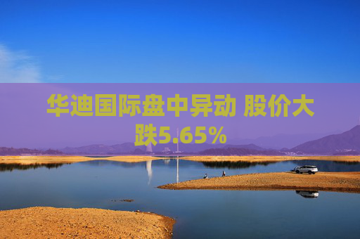 华迪国际盘中异动 股价大跌5.65%