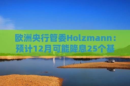 欧洲央行管委Holzmann：预计12月可能降息25个基点