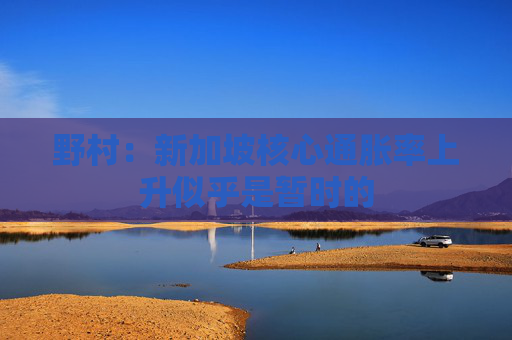 野村：新加坡核心通胀率上升似乎是暂时的