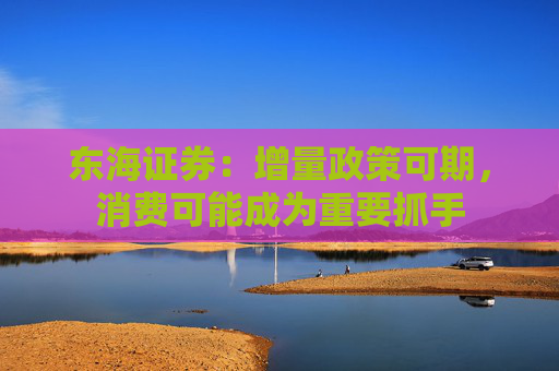 东海证券：增量政策可期，消费可能成为重要抓手