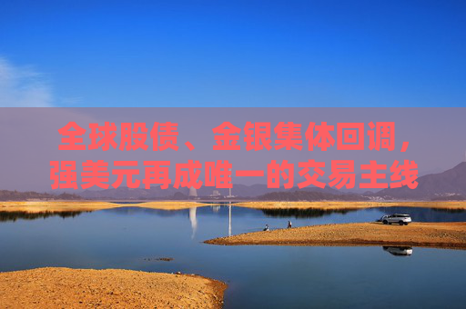 全球股债、金银集体回调，强美元再成唯一的交易主线
