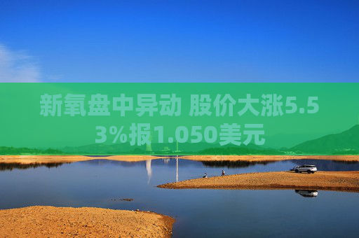 新氧盘中异动 股价大涨5.53%报1.050美元