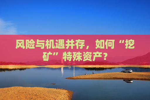 风险与机遇并存，如何“挖矿”特殊资产？