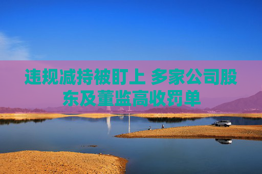 违规减持被盯上 多家公司股东及董监高收罚单