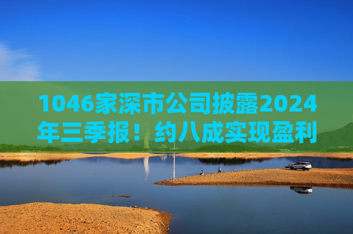 1046家深市公司披露2024年三季报！约八成实现盈利