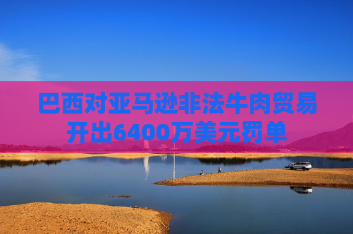 巴西对亚马逊非法牛肉贸易开出6400万美元罚单