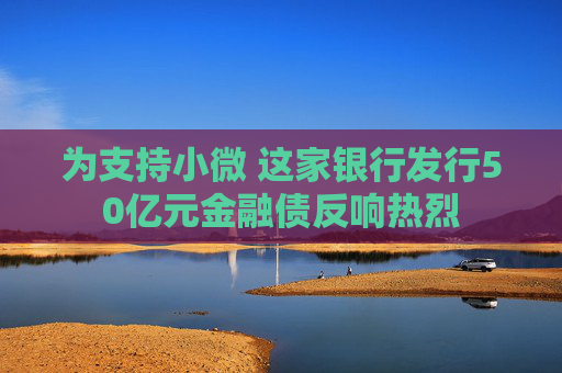 为支持小微 这家银行发行50亿元金融债反响热烈