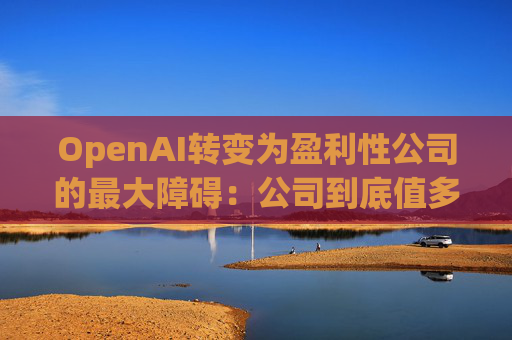 OpenAI转变为盈利性公司的最大障碍：公司到底值多少？