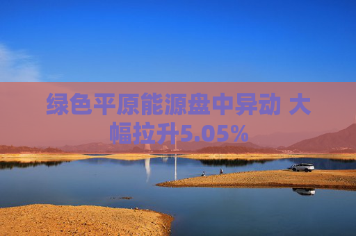 绿色平原能源盘中异动 大幅拉升5.05%