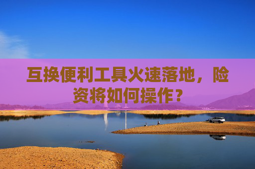 互换便利工具火速落地，险资将如何操作？