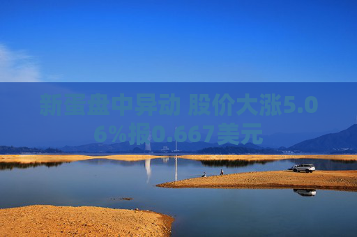 新蛋盘中异动 股价大涨5.06%报0.667美元