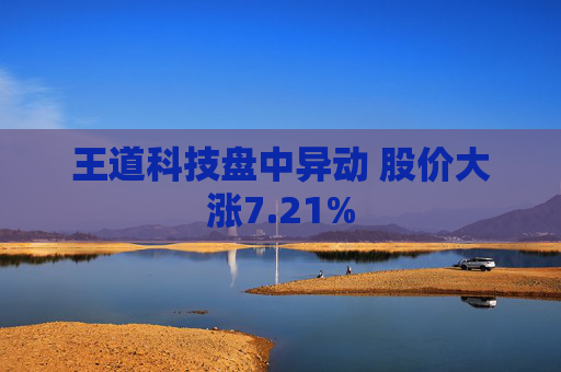 王道科技盘中异动 股价大涨7.21%