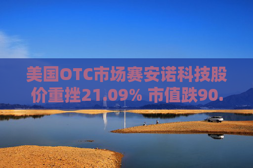 美国OTC市场赛安诺科技股价重挫21.09% 市值跌90.5万美元