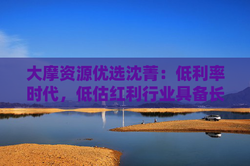 大摩资源优选沈菁：低利率时代，低估红利行业具备长期配置价值