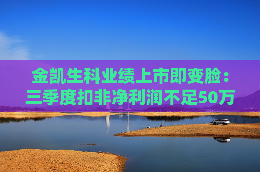 金凯生科业绩上市即变脸：三季度扣非净利润不足50万元 理财收益成为主要利润来源
