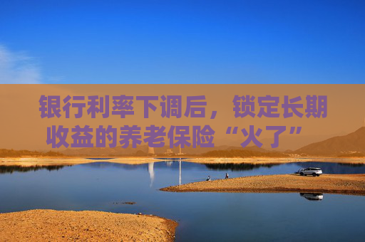 银行利率下调后，锁定长期收益的养老保险“火了” 理财经理：产品和服务在升级，有的还能免税