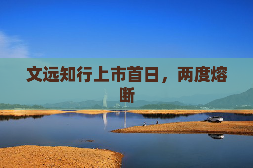 文远知行上市首日，两度熔断