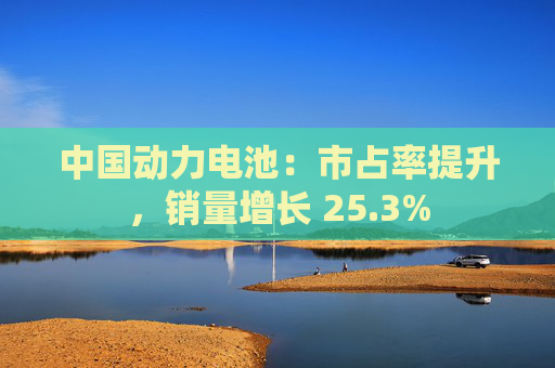 中国动力电池：市占率提升，销量增长 25.3%