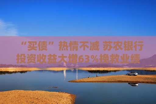 “买债”热情不减 苏农银行投资收益大增63%挽救业绩颓势