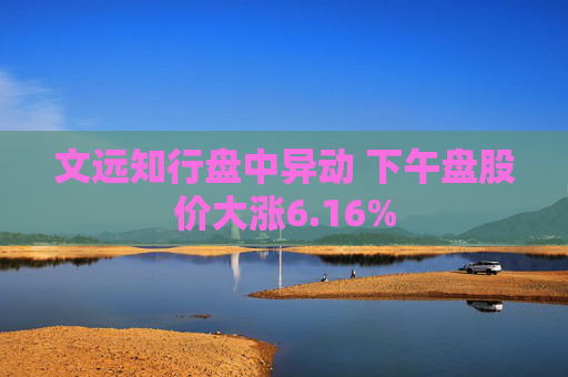 文远知行盘中异动 下午盘股价大涨6.16%