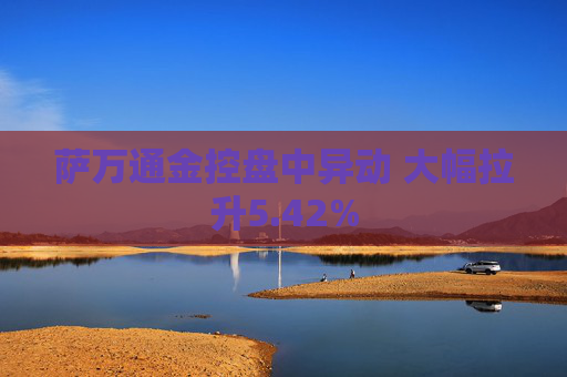 萨万通金控盘中异动 大幅拉升5.42%