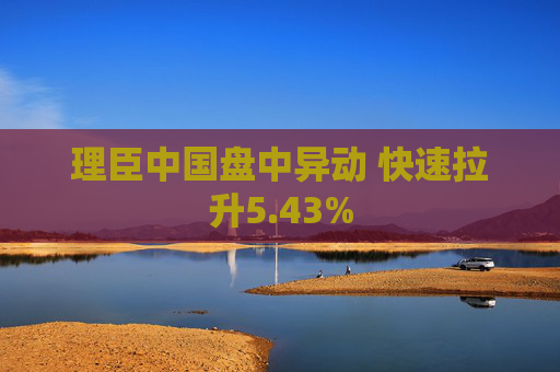 理臣中国盘中异动 快速拉升5.43%
