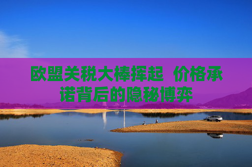 欧盟关税大棒挥起  价格承诺背后的隐秘博弈