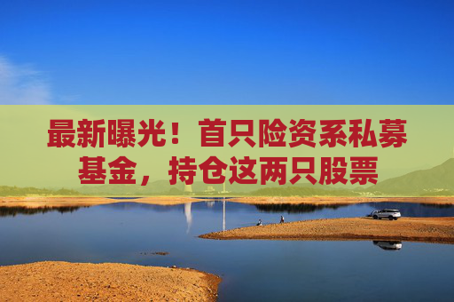 最新曝光！首只险资系私募基金，持仓这两只股票