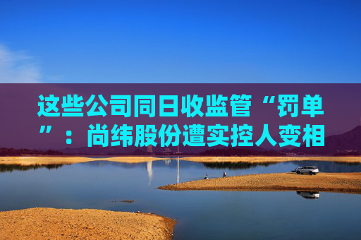 这些公司同日收监管“罚单”：尚纬股份遭实控人变相占用，国华网安、ST特信内控不到位
