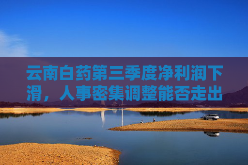云南白药第三季度净利润下滑，人事密集调整能否走出高层动荡？