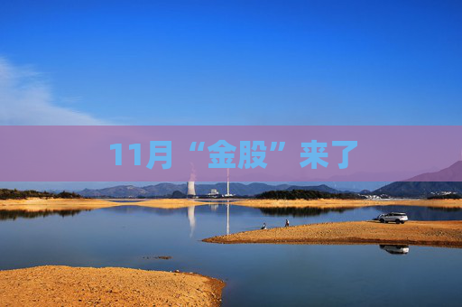 11月“金股”来了