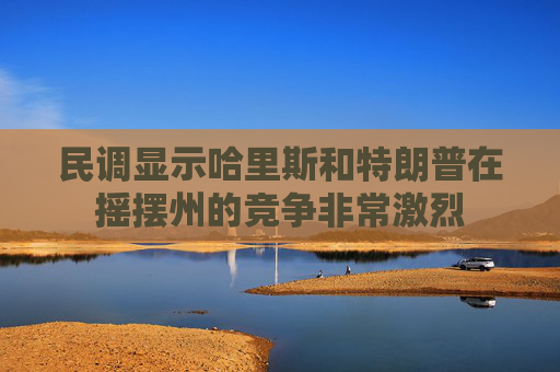 民调显示哈里斯和特朗普在摇摆州的竞争非常激烈
